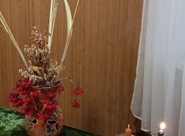 585549826 1284566020354920 8845920386871634148 N