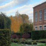 изображение Viber 2025 11 03 12 24 43 074