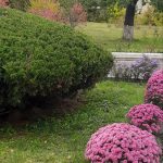 изображение Viber 2025 11 03 12 30 14 193