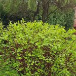 487306350 1091942582950599 8708125380391334101 N