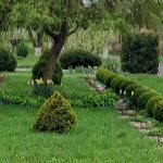 487976248 1091942552950602 4107482526613919343 N