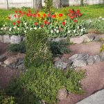 488255978 1091942562950601 8084568398104038128 N