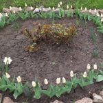 488256971 1091942186283972 3053237559943529926 N