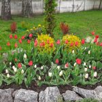 488416998 1091942212950636 8138924961569879850 N