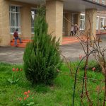 488544770 1091942269617297 9117118773695527236 N