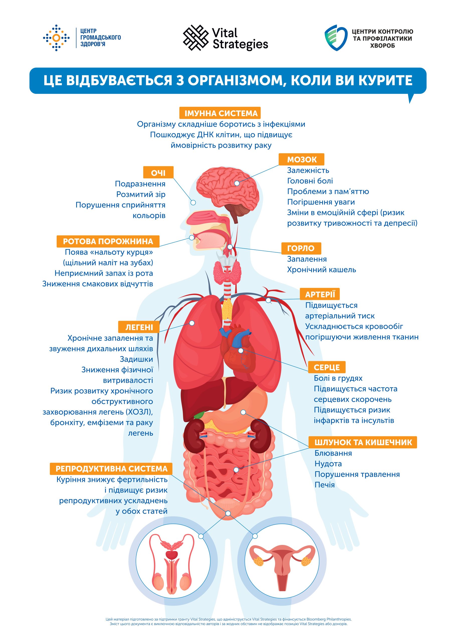 A2 плакат Що відбувається з організмом, коли ви курите