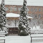 зображення Viber 2026 01 19 12 57 07 112